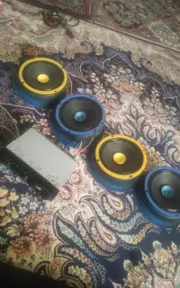 پخش باند