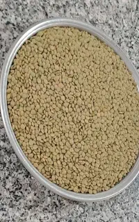 عدس محلی