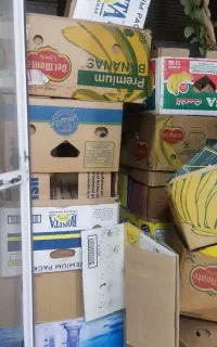 کارتن موزی ،کارتن موزی بزرگ