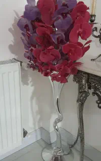 بنفش و سرخابی