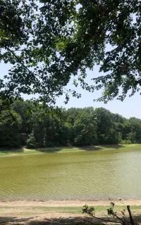 علف زنی با دستگاه از نوشهر تا سیسنگان ونوش چالوس