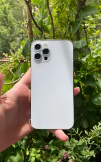 12 pro 256