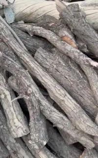 چوب