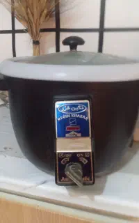 پلو پز دوکاره