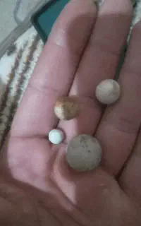 سنگ آسیاب