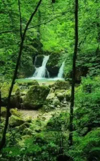 طبیعت گردی