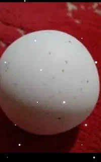 سنگ الماس اسیابی