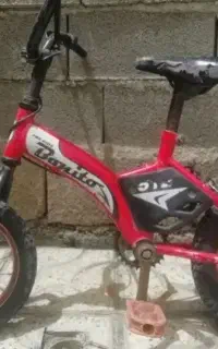 دچرخه 12