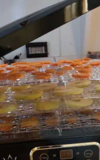 میوه خشک کن