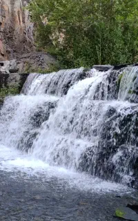 اجاره سکو و باغ و طبیعت‌گردان