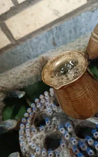 قهوه جوش مسی