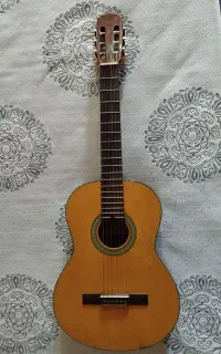 گیتار ARIA AK-30