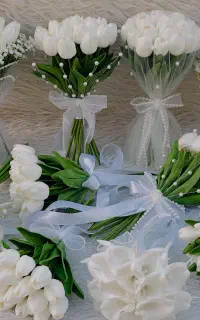 گل عروس