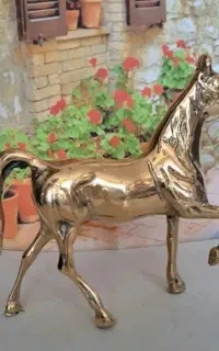 اسب برنزی