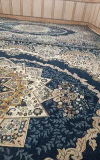 نیاز ب خانم برا نظافت چی در خانه