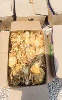 تنباکو بویری سبک و خوش عطر