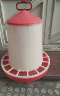 جای دان مرغ و خروس