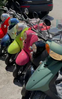 پاکشتی فول ترین نسخه