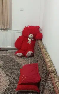 خرس بزرگ