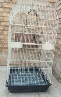 یک عدد قفس بزرگ
