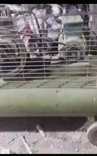 پمپ باد ۱۵۰