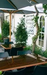 اجاره وسایل کافه میخام