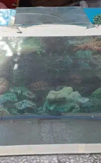 آکواریوم بزرگ