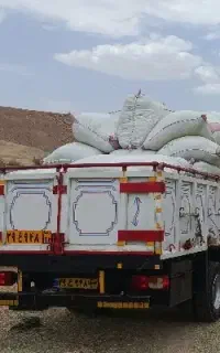 یونجه خرمنکوب تمیز،بدون علف و چمن، با شلیف۳۸