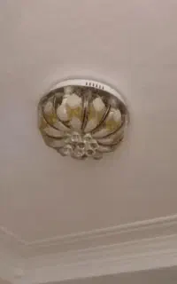 یک جفت لوستر سقفی سالم