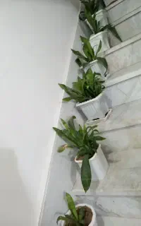 گل و گلدان