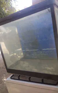 اکواریم