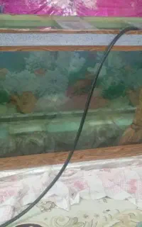 آکواریوم