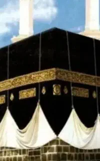 فیش حج عمره اولویت 354