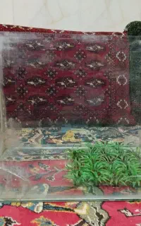 آکواریوم فقط 900باپمپ آب