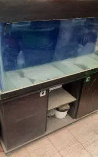 اکواریوم