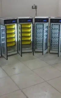 دستگاه ۰جوجه*      کشی/پرقدرت، اکسیژن‌رسانی کافی