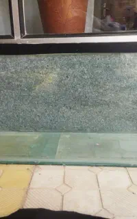 آکواریوم