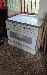 فرگاز