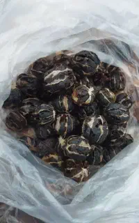 لیمو و مشتقاتش و بالنگ خشک و تازه (ترنج) گیاهان دا