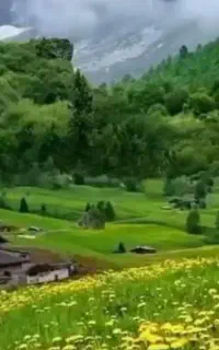 بلیط تور لحضه اخری