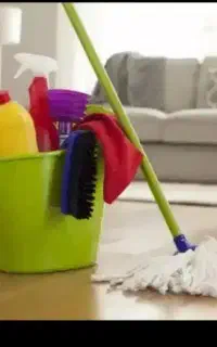 خانم جهت امور منزل