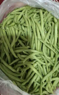 لوبیا سبز