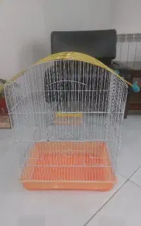 قفس بزرگ