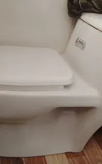 توالت فرنگی