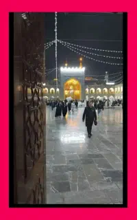 دلتـنگ امام هشتم./(