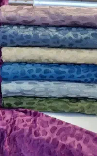 پتومسافرتی