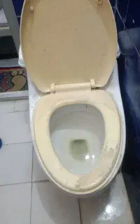 دستشویی فرنگی