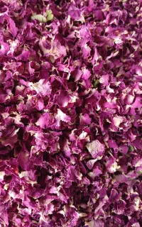 گل محمدی اعلا  عمده