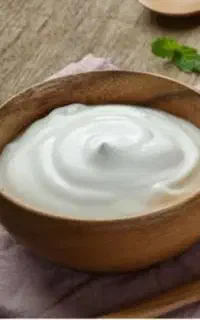 ماست چکیده و موسیر مخصوص لبنیاتی و رستوران