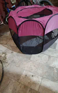 جایگاه پت خانگی